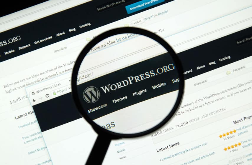 Wordpress Wartung