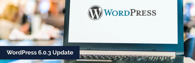 WordPress 6.0.3 Update